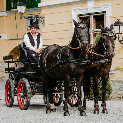 Carriage Ride