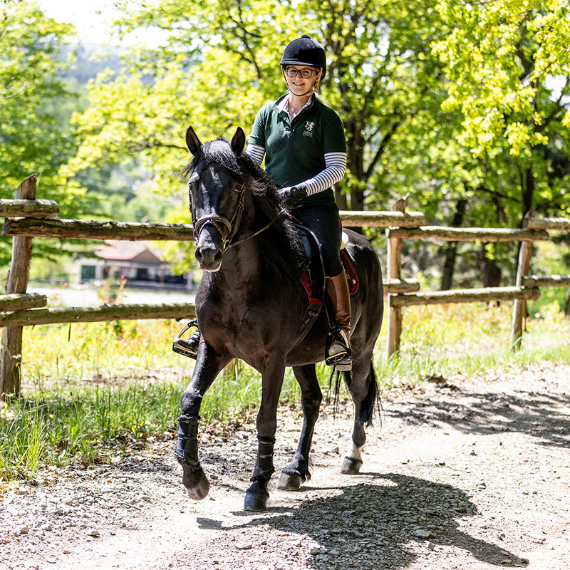 Horseback Riding