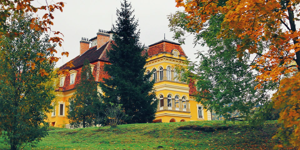 Lost in Transylvania