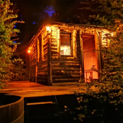 The Forest Sauna