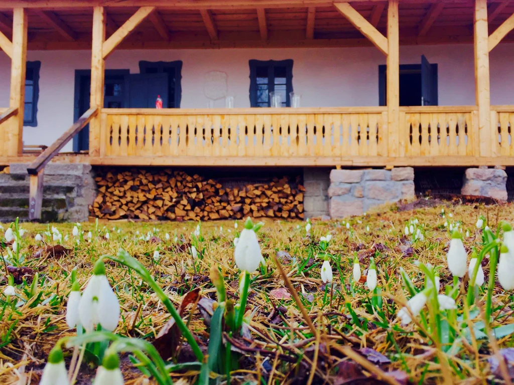 Dobrica Hunting Lodge