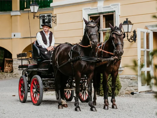 Carriage Ride & Picnic Basket Package
