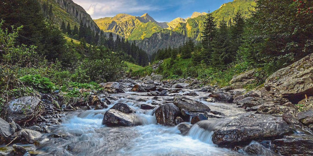 Between bear and man